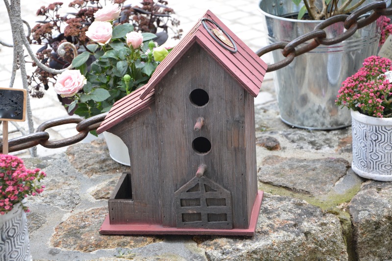 3_pixabay_house-bird-2705321.jpg