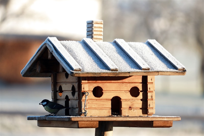2_pixabay_bird-feeder-4739415.jpg