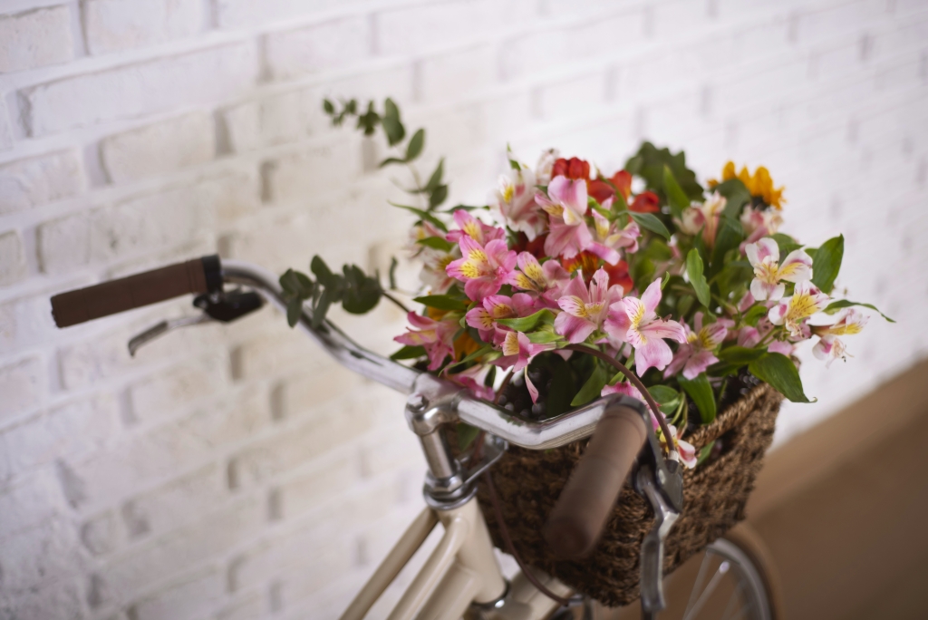1_freepik_bicycle-basket-with-beautiful-flowers-high-angle.jpg