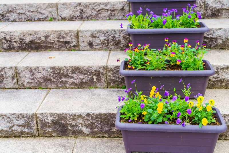 15_freepik_celebration-seasonal-flower-garden-day.jpg