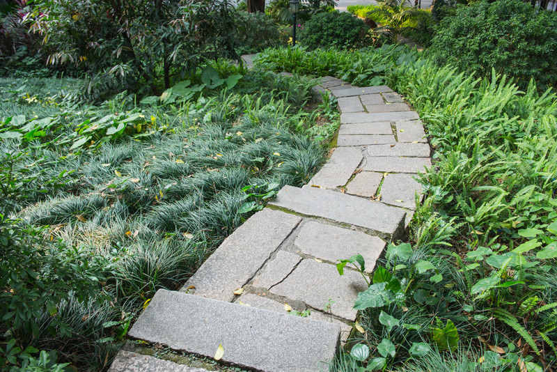 14_freepik_stone-path-with-grass-growing-up.jpg