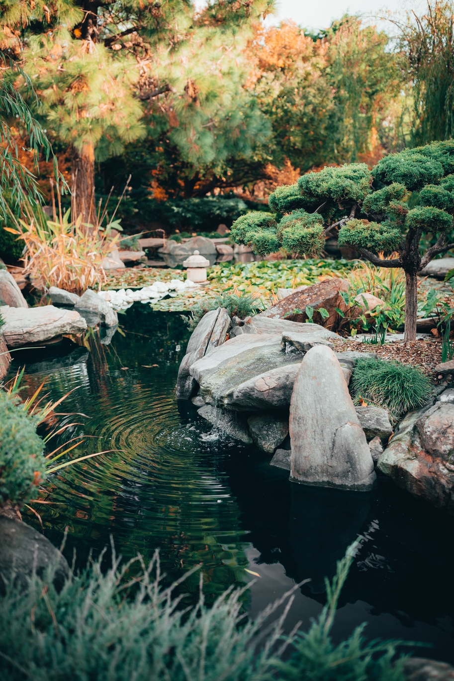 1_freepik_beautiful-view-mesmerizing-nature-traditional-styled-japanese-adelaide-himeji-gardens.jpg