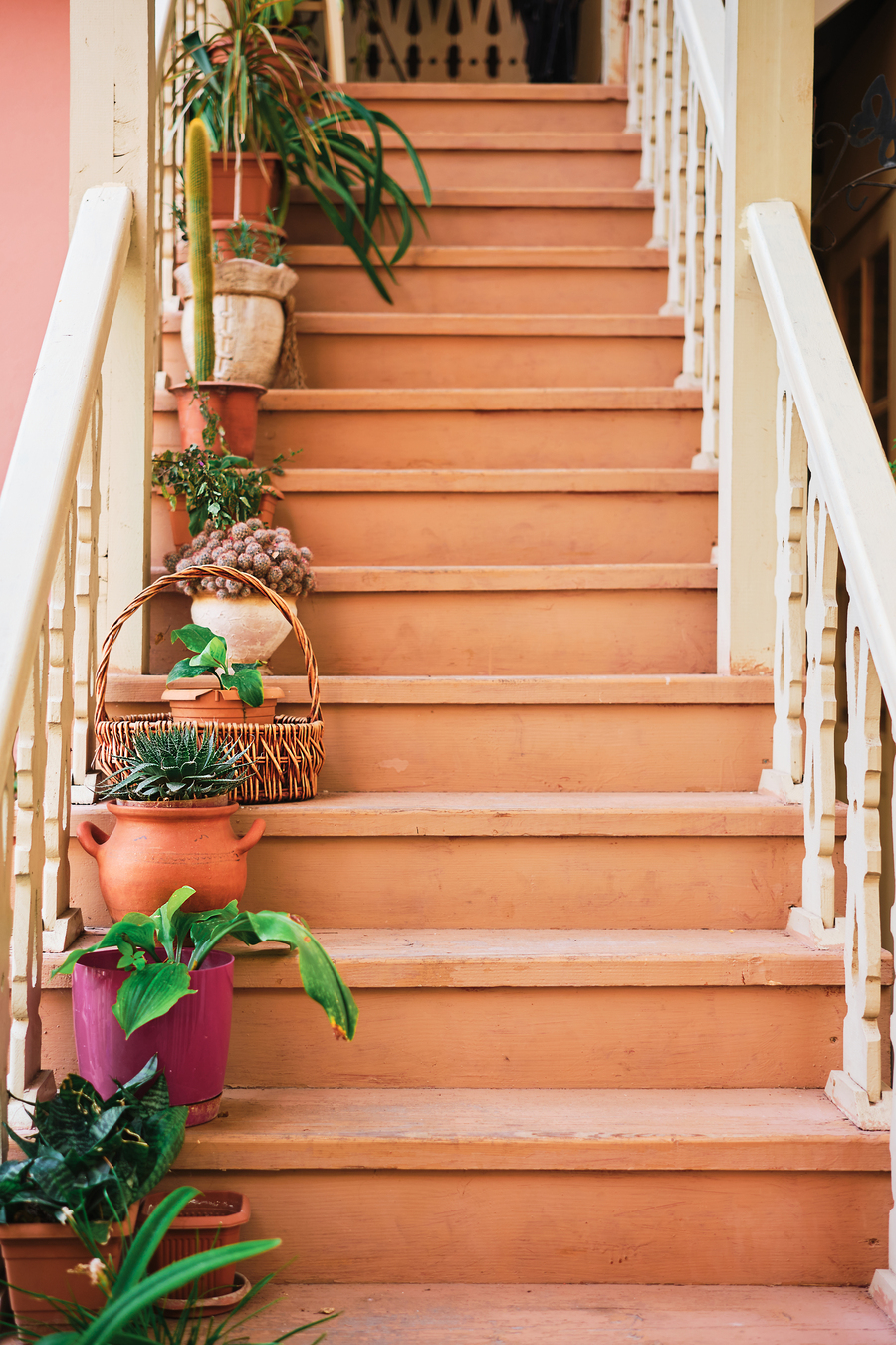 2_freepik_wooden-staircase-with-flower-pots-selective-focus-vertical-frame-idea-screensaver-article-about-old-town.jpg