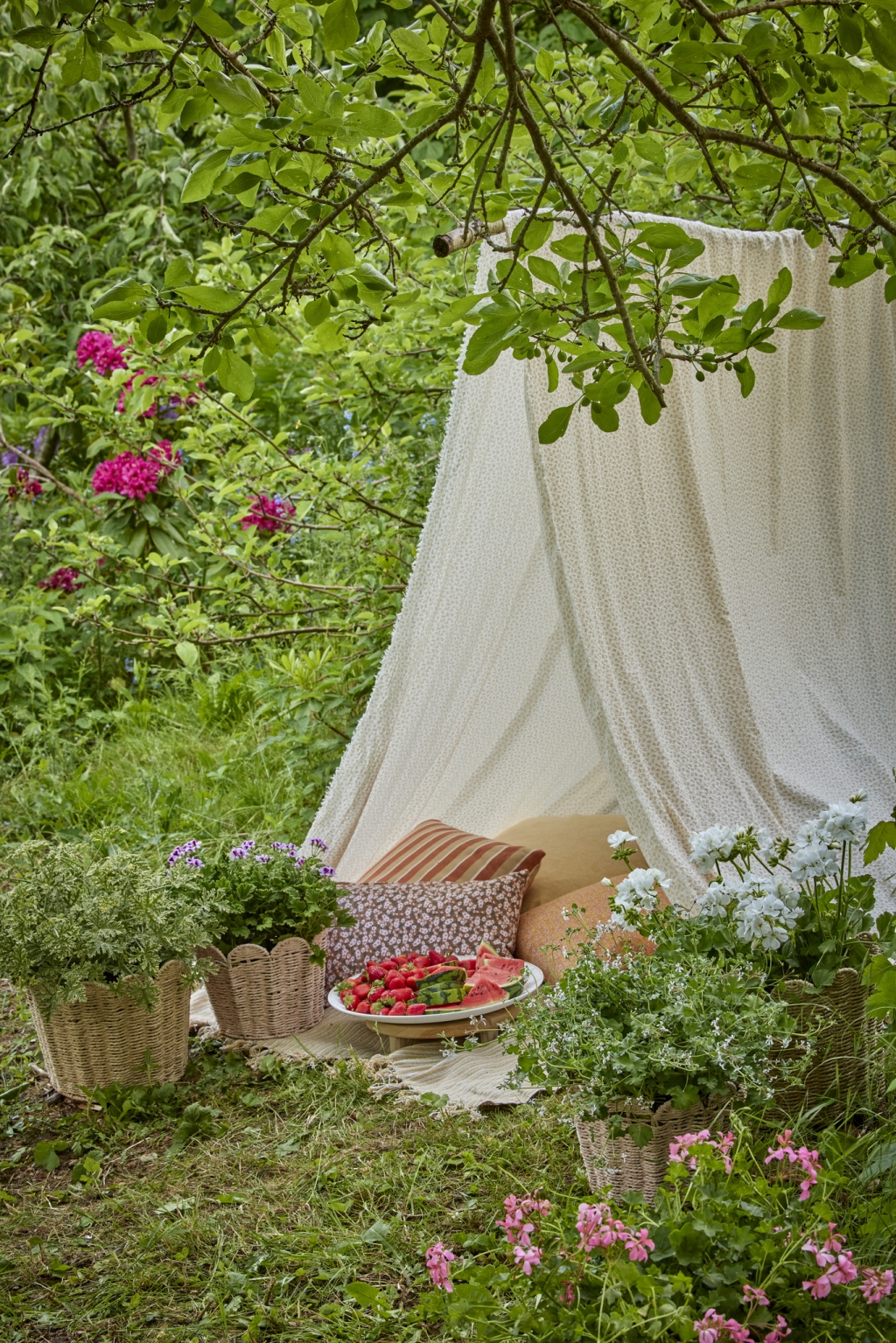 3_2025_Geraniums_3000_Serene_Garden_Getaway_26.jpg