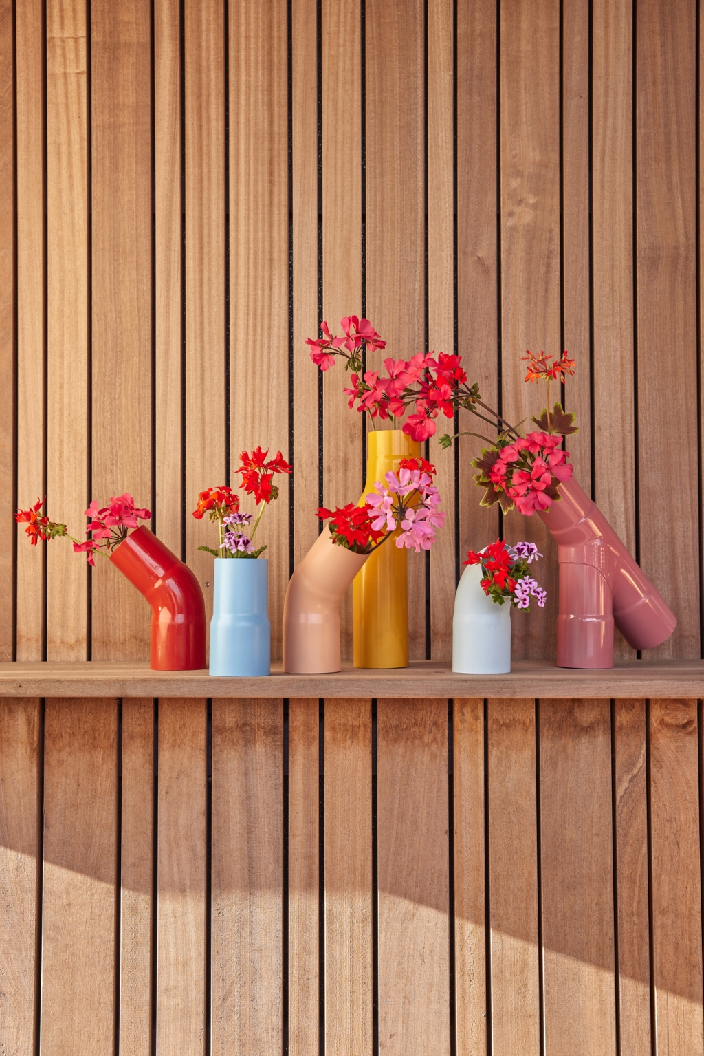 1_2025_Geraniums_2000_Colour_Splash_Family_Home_14.jpg