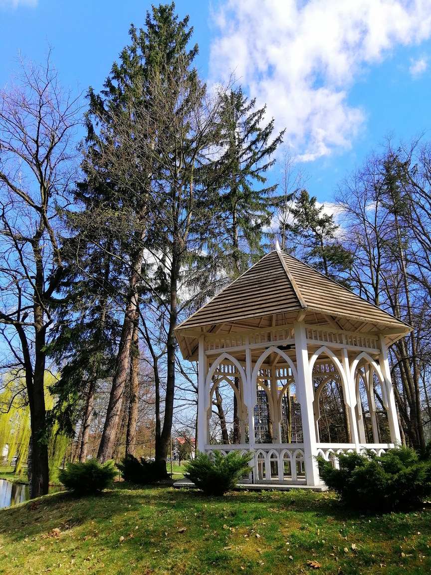 1_freepik_vertical-shot-wooden-arbor-trees-park-norweski-jelenia-gora-poland.jpg