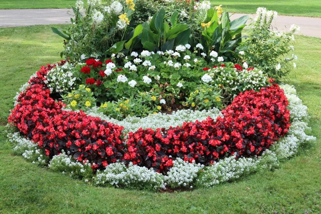 8_pixabay_flowerbed-6583876.jpg