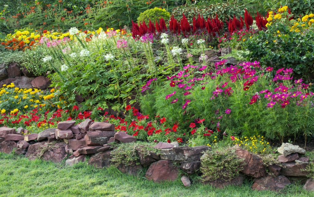 3_freepik_colorful-flower-garden.jpg