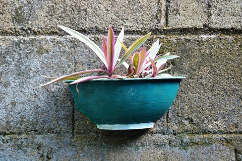 6_pixabay_flower-pot-215651_1920.jpg