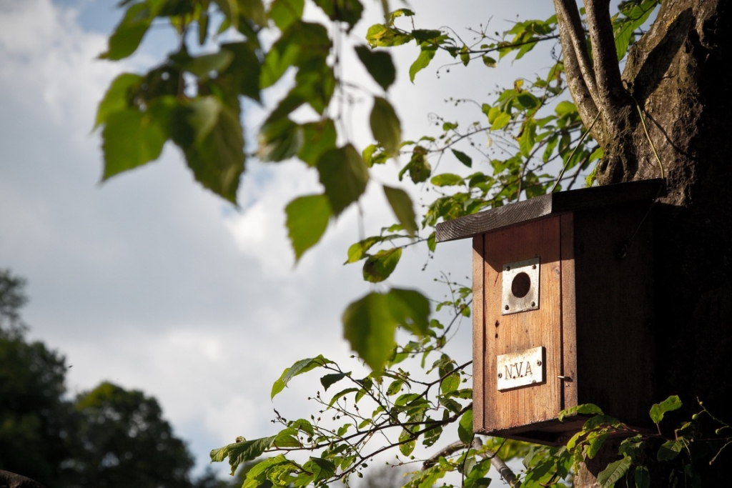1_bird-house-3823809.jpg
