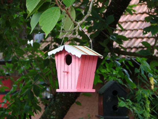 3_bird-house-246412.jpg