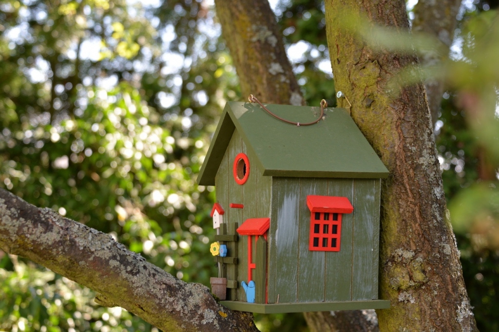 4_bird-house-550613.jpg
