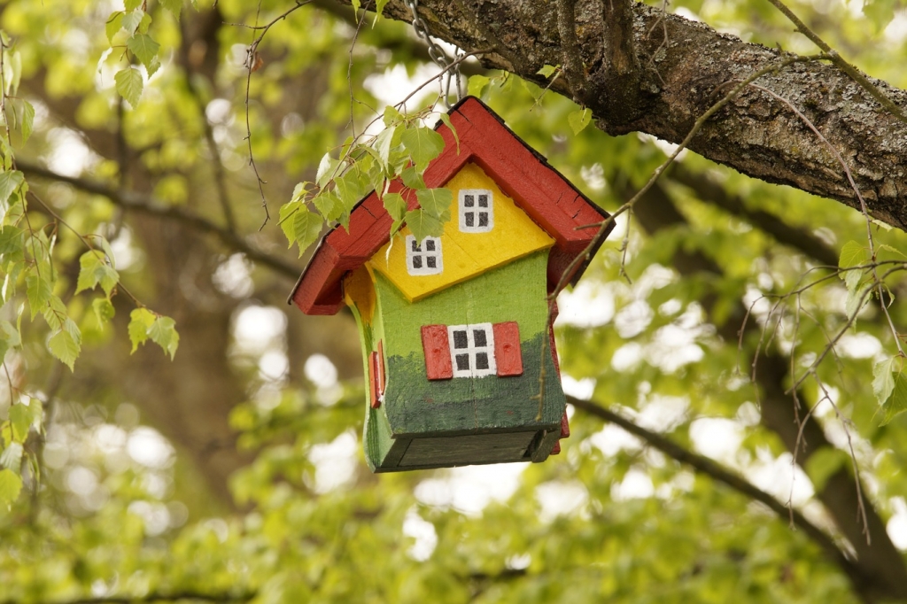 5_tree-3152596.jpg