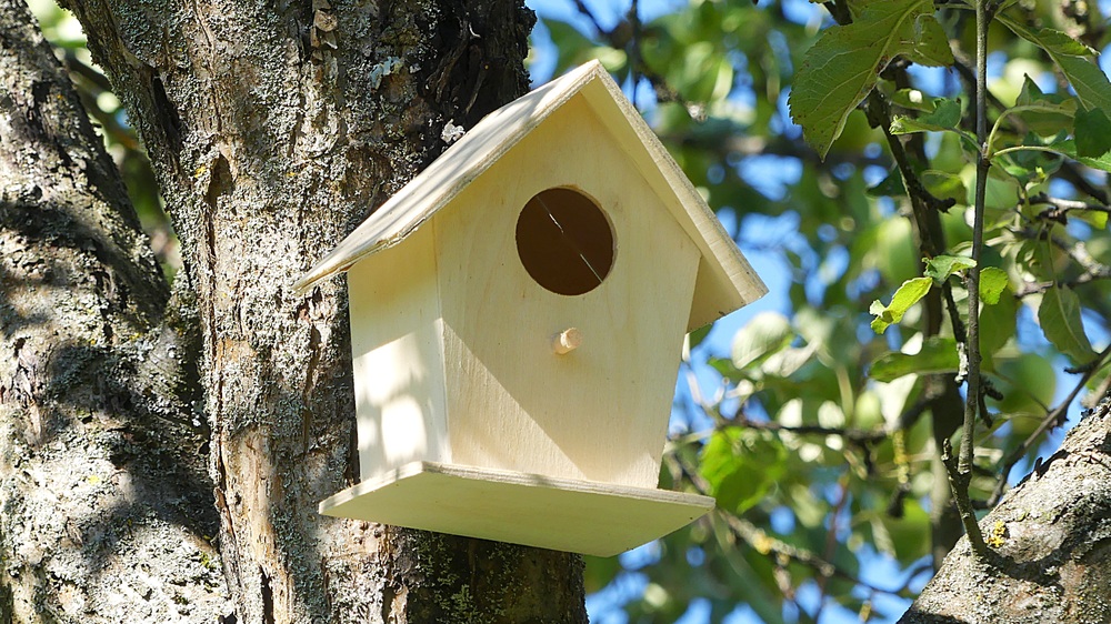 6_bird-house-2640932.jpg