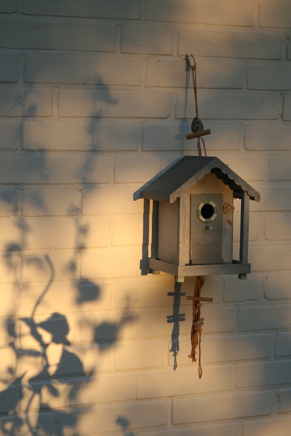 7_bird-house-2708528.jpg
