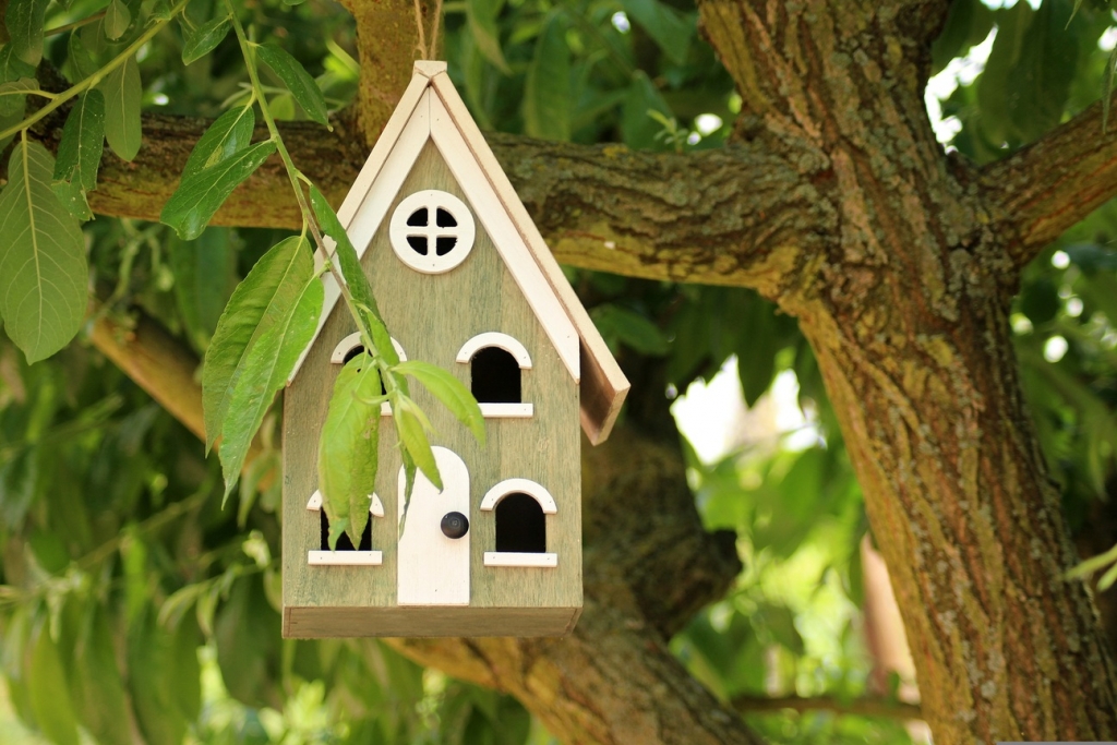 8_birdhouse-3395575.jpg