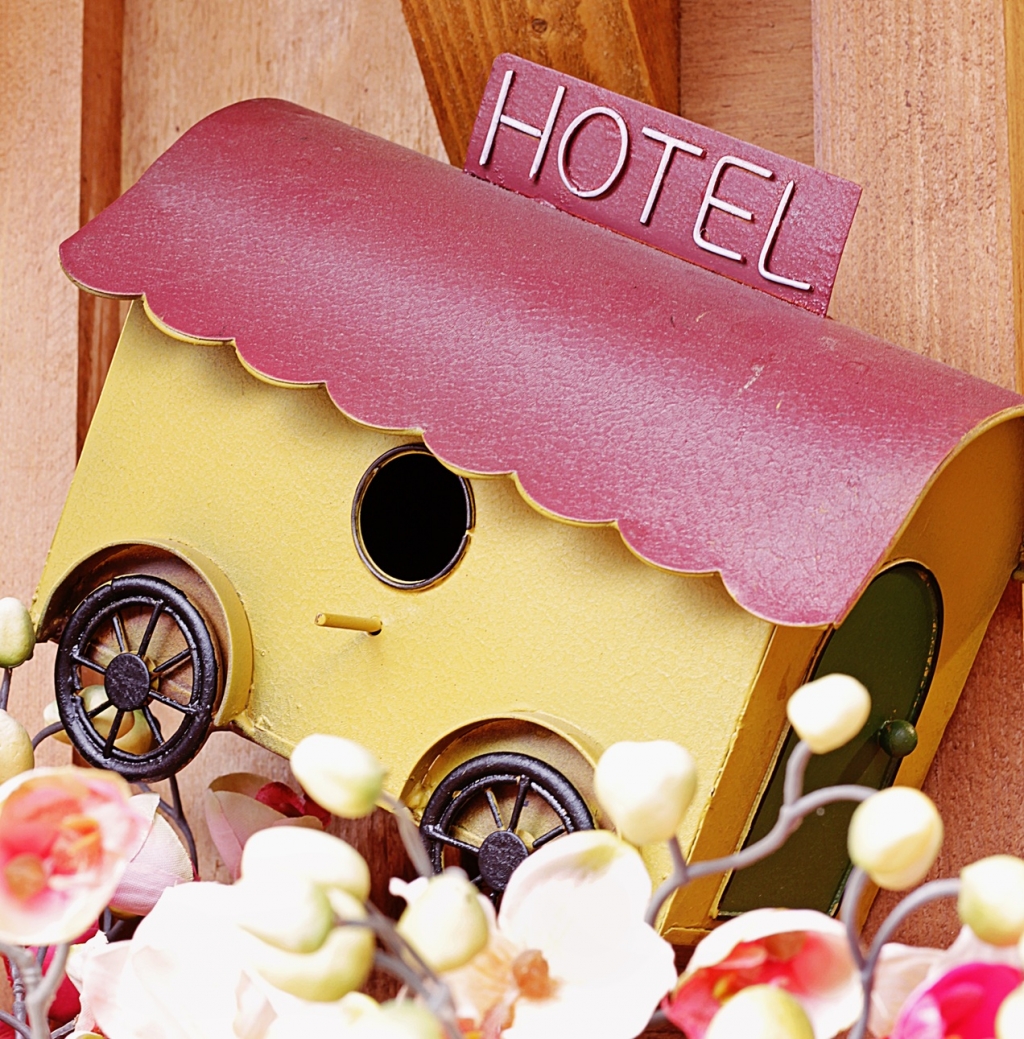 10_bird-house-4461645.jpg