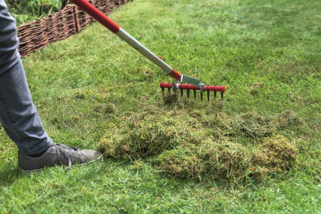 Így kell ápolni ősszel a gyepet: 7 feladat, amit mindenképpen el kell végezni ilyenkor Így kell ápolni ősszel a gyepet: 7 feladat, amit mindenképpen el kell végezni ilyenkor