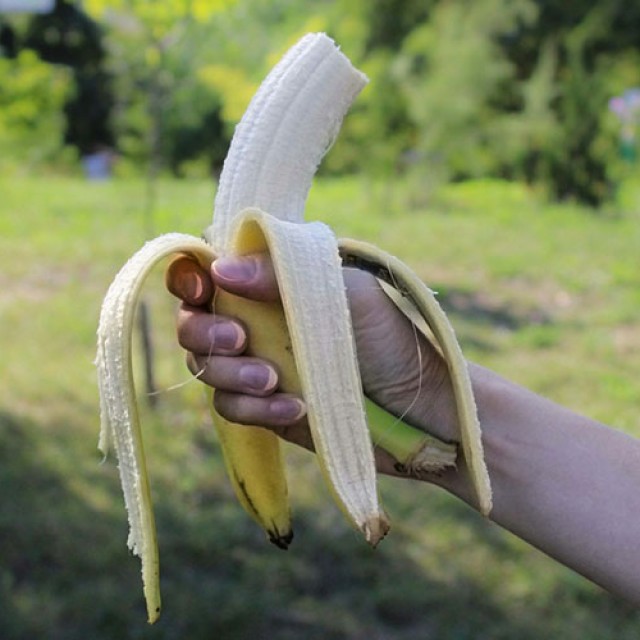 Tápoldat készítése házilag: ettől azonnal gyors növekedésnek indulnak majd a növények!