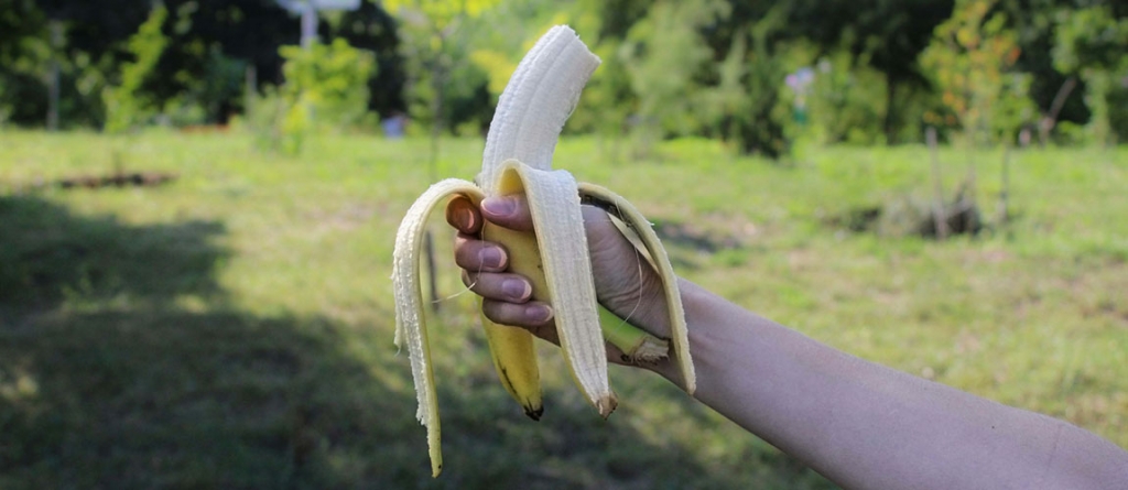 Tápoldat készítése házilag: ettől azonnal gyors növekedésnek indulnak majd a növények!