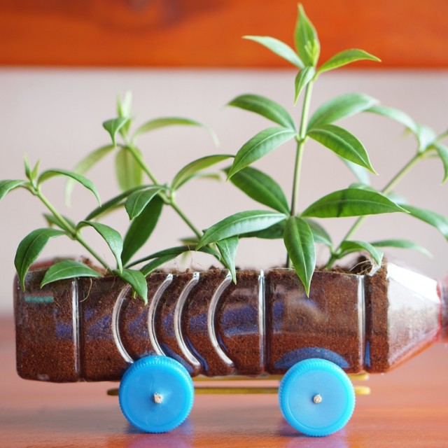 4 DIY ötlet a kertbe újrahasznosítással: vajon mire lehet jó egy régi fiók vagy borosüveg?