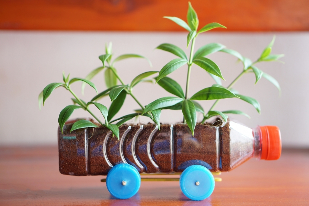 4 DIY ötlet a kertbe újrahasznosítással: vajon mire lehet jó egy régi fiók vagy borosüveg?