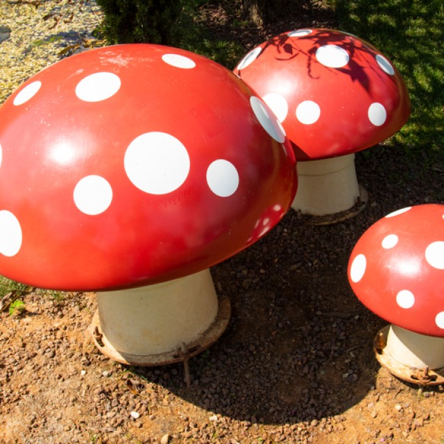 Ideje díszíteni! 3 DIY dekoráció a kertbe, amit a ősz kedvencei, a gombák ihlettek