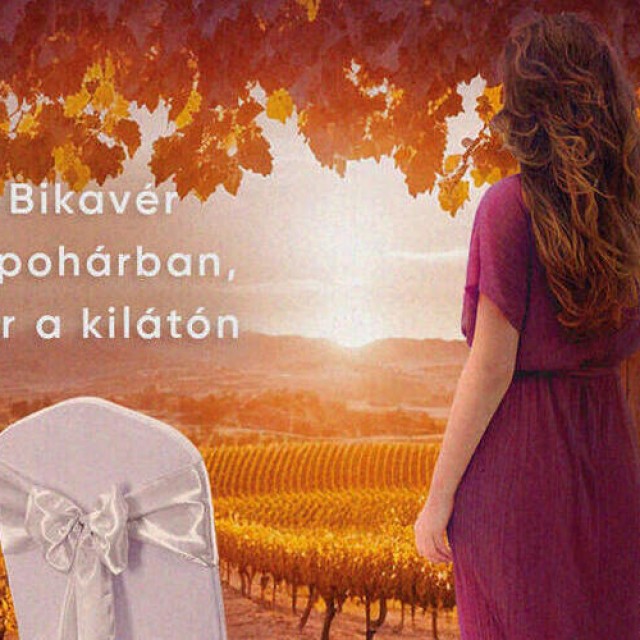 Imádsz krimit olvasni? Megjelent Patkó Ágnes Szekszárdi vörös könyvsorozatának 3. része!