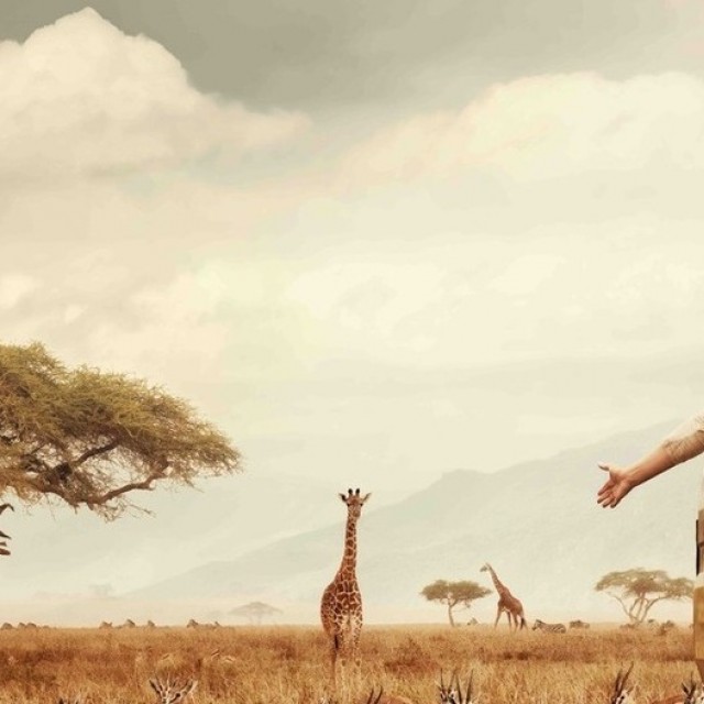 Egy kenyai utazás minden álmod? Csomagolj, az IBUSZ új charterjáratot indít!