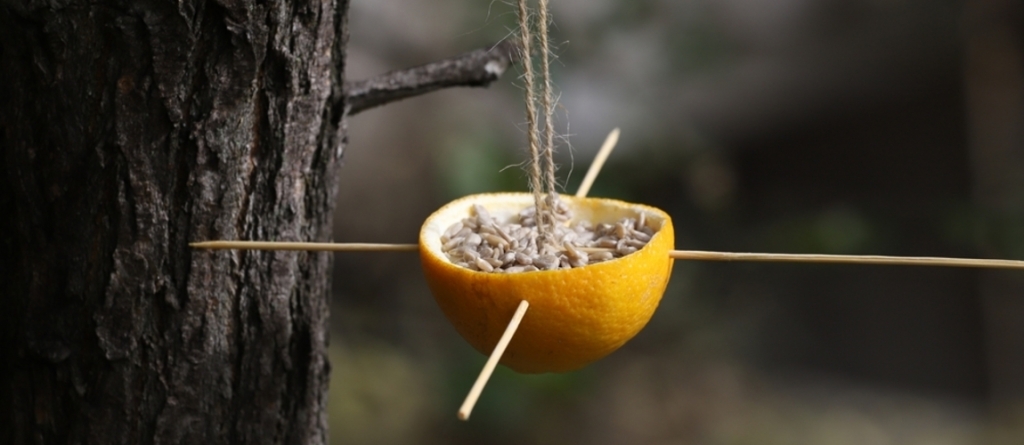 Ötperces madáretető készítése: 4 szuper ötletet mutatunk, amikből inspirálódhatsz! Ötperces madáretető készítése: 4 szuper ötletet mutatunk, amikből inspirálódhatsz!