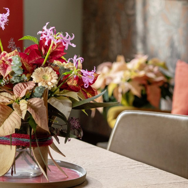 Így dekorálhatsz mikulásvirággal egész télen – inspiráló fotókat mutatunk